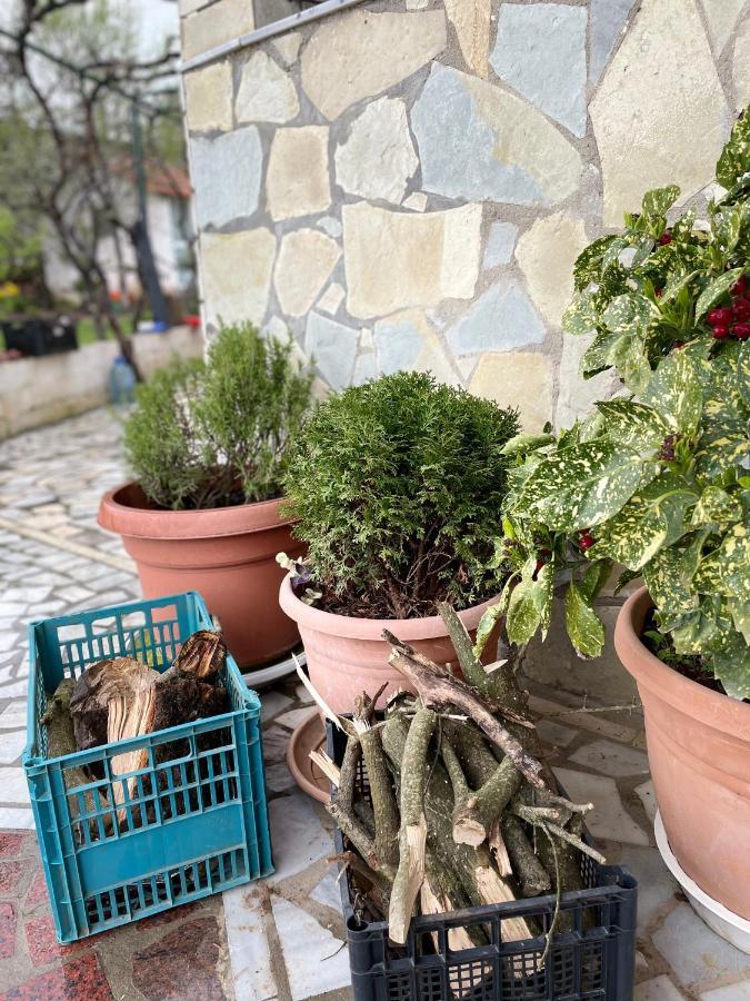 Kasaj Villa Gjirokastër 외부 사진